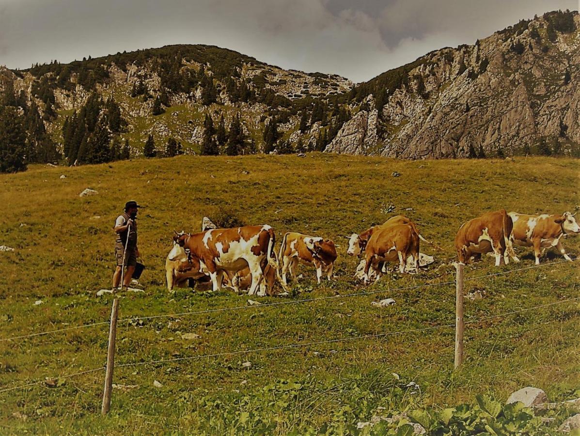 Landhotel Zum Staffelwirt Jachenau Eksteriør bilde